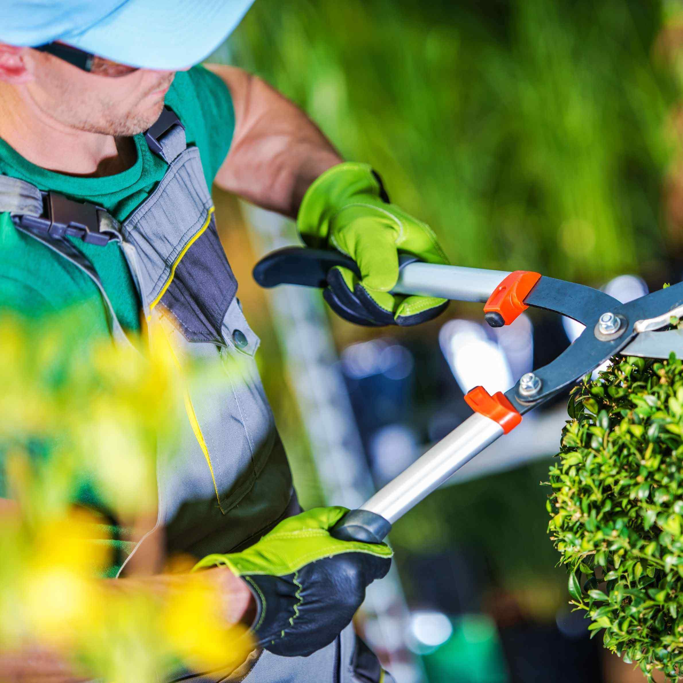 Bricolage e Jardinagem
